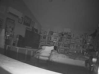 voyeurcam bridgetleewalters 02